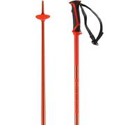 Salomon Arctic Batôns de Ski Unisexe, Légers et Fiables, Parfaits pour le Ski, le Snowboard et la Randonnée