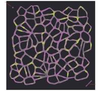 Bandana Salomon Gravel Graphic noir