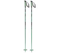 Salomon - Bâtons de ski freeride - Steep Iceberg Green/Black en Aluminium - Taille 110 cm - Vert Vert 110 cm