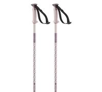 Salomon Bâtons Polar