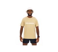 Salomon Big Logo vêtement running homme Big Logo XL Vert