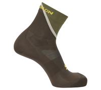Salomon Chaussettes Pulse Ankle