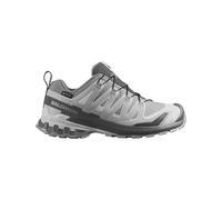 Salomon Chaussures de trail XA Pro 3D V9 GTX GORE-TEX Femme Taille 40 Gris