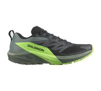 Salomon Chaussures de trail Sense Ride 5 Noir/Laurier/Vert Gecko EU 40 2/3