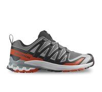 Chaussures Salomon XA PRO 3D v9 gris rouge pâle - 42(2/3)