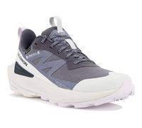 Salomon Elixir Activ Gore-Tex Gris/argent 39.1/3