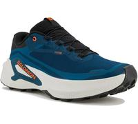 Salomon Genesis 2 Gore-Tex Bleu 43.1/3