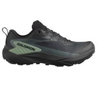 Chaussures Salomon Genesis GORE-TEX noir vert - 40(2/3)