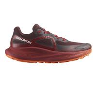 Salomon Glide Max TR M Chaussures homme Glide Max TR M 40.2/3 Marron