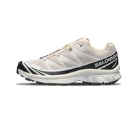 Salomon, Homme, Chaussures, Multicolore, Taille: 46 EU Xt-6 Rainy Day