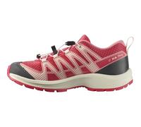 Salomon Homme X-Adventure Recon Mid Gore-Tex, Chaussure de randonnée, Asphalt Falcon Coyote Brown, pour Le Confort, Parfaite pour Les randonnées et Le Trail Running Lors d'aventures en Plein air. 3.4