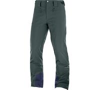 Salomon Pantalon de Ski pour Homme, ICEMANIA PANT M, Jersey, VertVert (Green Gables)L