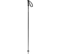 Salomon Polar Access Alpine Poles Unisex-Adult, Black, 100