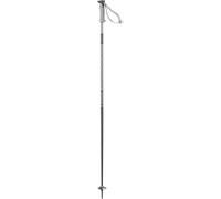 Salomon Polar Alpine Poles Unisex-Adult, Grey Violet, 105