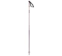 Salomon Polar Poles Argenté 125 cm