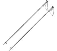 Salomon - Bâtons de ski alpin - Polar Grey Violet en Aluminium - Taille 125 cm - Gris Gris 125 cm