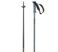 Salomon Polar Pro Bâtons de randonnée pour Trail Running, bâtons de Marche légers et durables pour Aventures en Montagne et Sports Outdoor, Bleu Copen, 100cm
