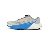Chaussures Salomon Pulsar blanc bleu - 47(1/3)