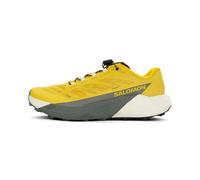 Salomon Pulsar Homme 48