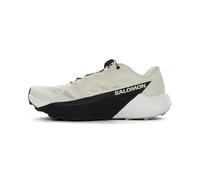 Salomon Pulsar Homme 48
