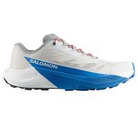 Salomon Pulsar - homme - gris