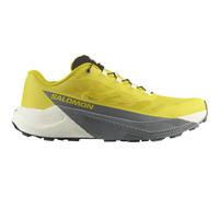 SALOMON Pulsar - Homme - - taille 46 2/3- modèle 2025