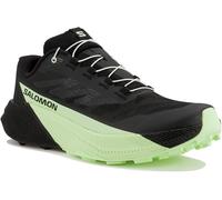 Salomon Pulsar Homme 42