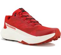 Salomon Pulsar Quiver Pack Rouge 44.2/3
