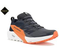 Chaussures de running hommes Salomon Sense Ride 5 Gore-Tex Taille de chaussures (UE): 43 1/3 / Couleur: gris / orange