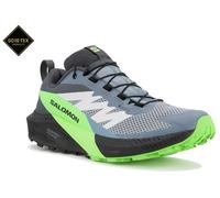 Salomon Sense Ride 5 Gore-Tex M Chaussures homme Sense Ride 5 Gore-Tex M 46 Bleu