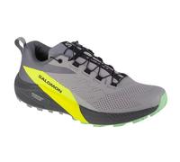 Salomon Sense Ride 5 Gris 44