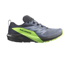 Salomon - Sense Ride 5 GTX - Chaussures de trail - EU 40 2/3 - flint stone / black / green gecko