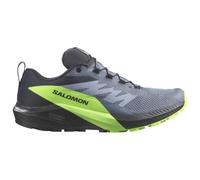 Salomon Sense Ride 5 Goretex Trail Running Shoes Gris EU 40 Homme