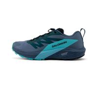 Salomon Sense Ride 5 GTX Homme 44