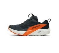 Salomon Sense Ride 5 GTX Homme 46