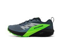 Salomon Sense Ride 5 GTX Homme 46