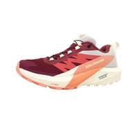Salomon Sense Ride 5 GTX W Chaussure de courseFemme