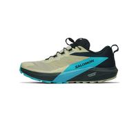 Salomon Sense Ride 5 Homme 46 2/3