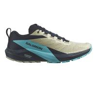 Salomon Sense Ride 5 Homme Beige 46