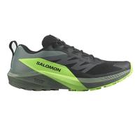 SALOMON Sense Ride 5 - Homme - Noir / Gris / Vert - taille 42- modèle 2025