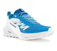 Salomon Sense Ride 5 M Chaussures Homme