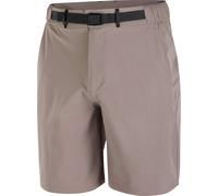 Salomon - Short déperlant respirant - Wayfarer 2.0 Shorts M Iron pour Homme - Taille L - Beige Beige L