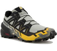 Salomon Speedcross 6 Gris/argent 44