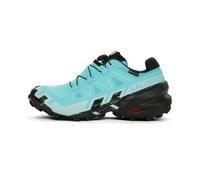 Salomon Speedcross 6 GTX Femme 36 2/3