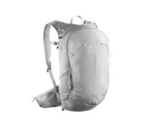 Salomon Sac à dos Trailblazer 20, 20 L, poches latérales extensibles, harnais rembourré, Gris argent