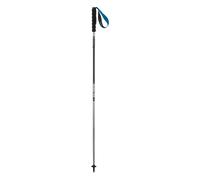 Salomon Ultra Alu Bâtons de marche Ultra Alu 120 cm Noir