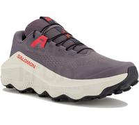 Salomon Ultra Glide 3 Gris/argent 46