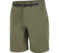 SALOMON Wayfarer Shorts 2.0 - Homme - Vert - taille S- modèle 2026