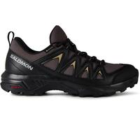 Salomon X Braze Gore-Tex Chaussures Imperméables d'extérieur pour Homme, Caractéristiques essentielles pour la randonnée, Look sportif, Polyvalence, Magnet, 44 ⅔