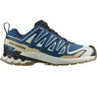 Chaussures Salomon XA PRO 3D v9 GORE-TEX bleu doré - 46